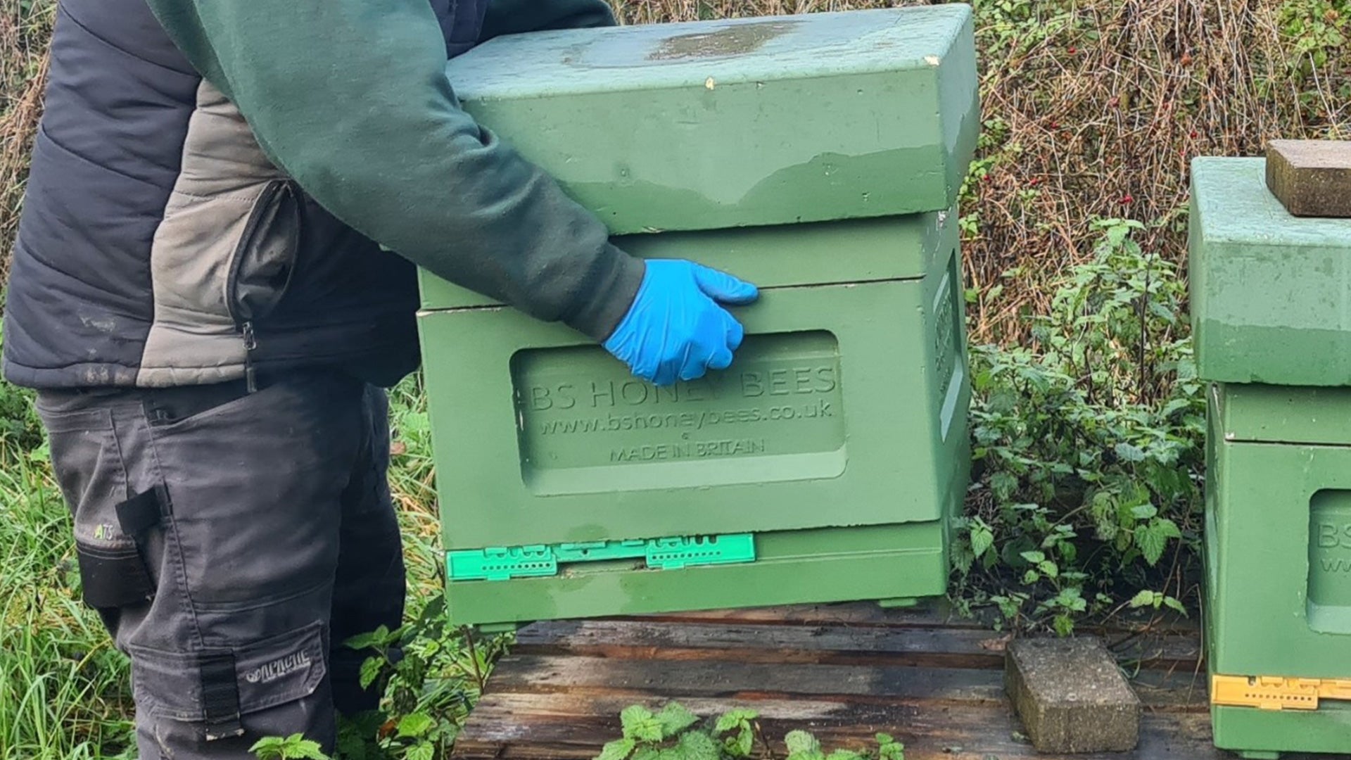 Winter Work: Behind the Scenes of Bee Farming