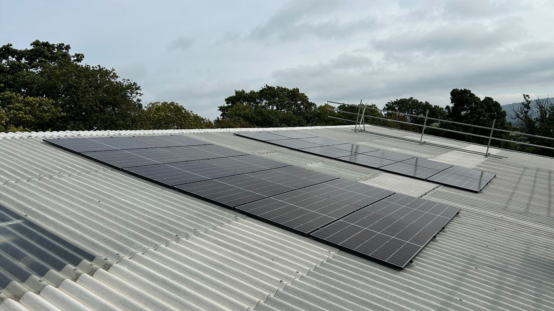 Harnessing the Sun: BS Honey Bees Ltd Goes Green with Solar PV Installation