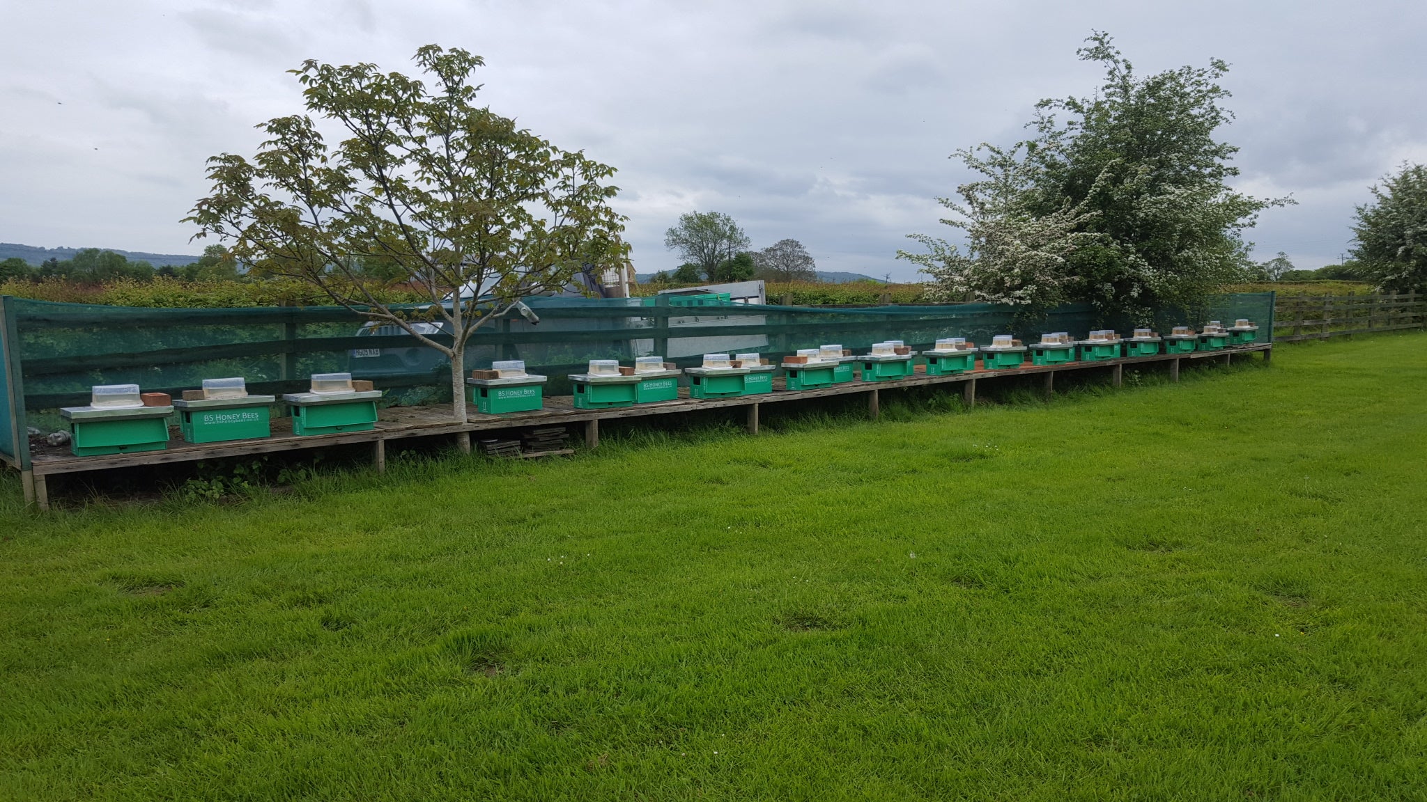 Collected 5 Frame Nucleus DEPOSIT 2026