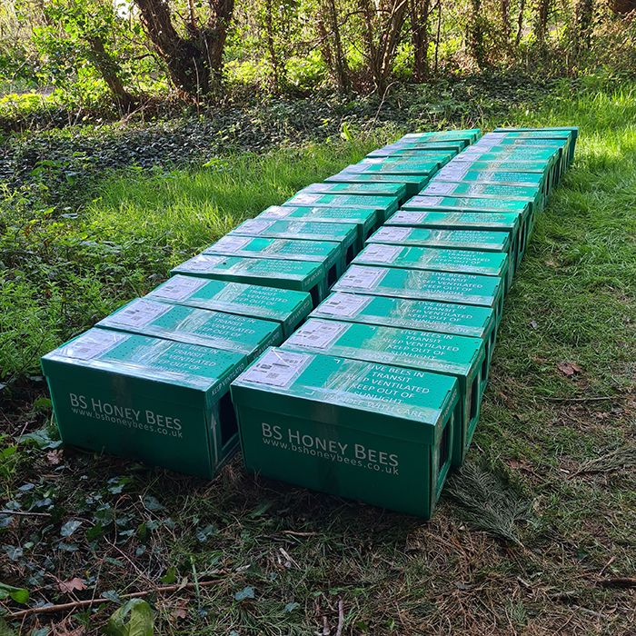 Posted Overwintered 5 Frame Nucleus 2026