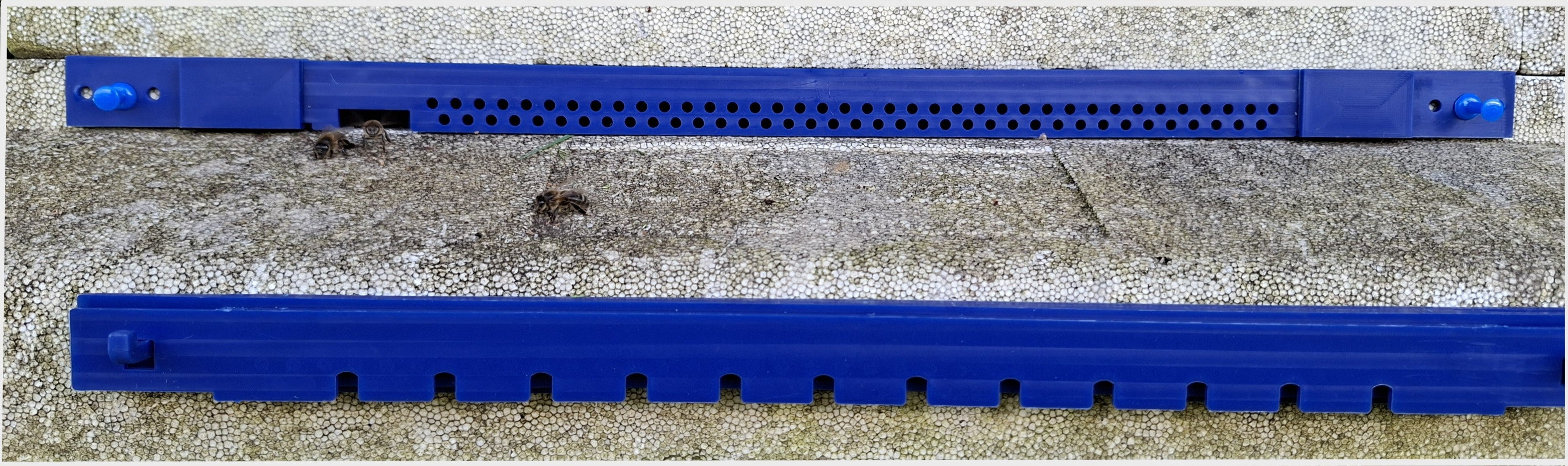 Hive-Five® Multi-Guard