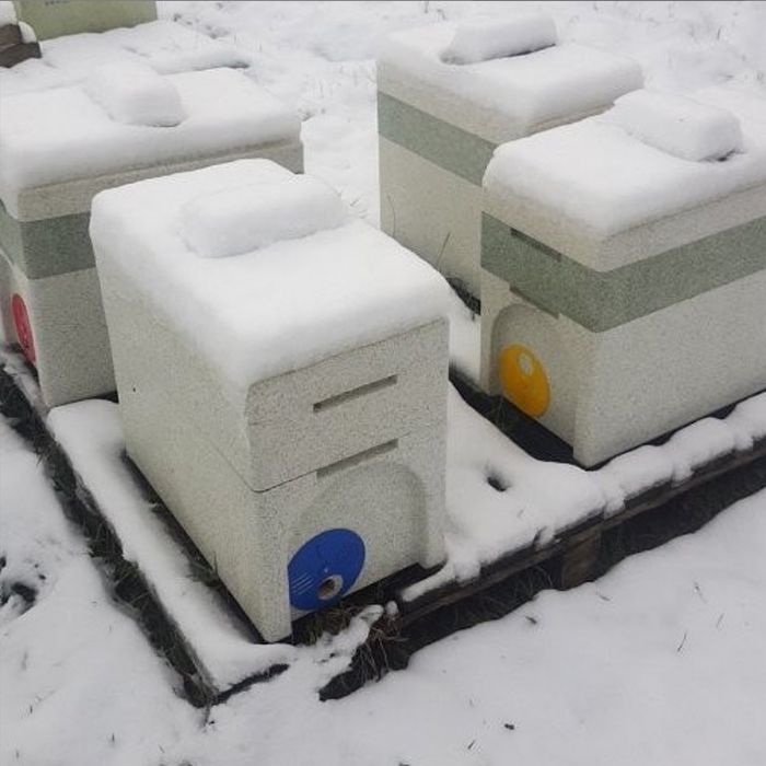 Posted Overwintered 5 Frame Nucleus 2026