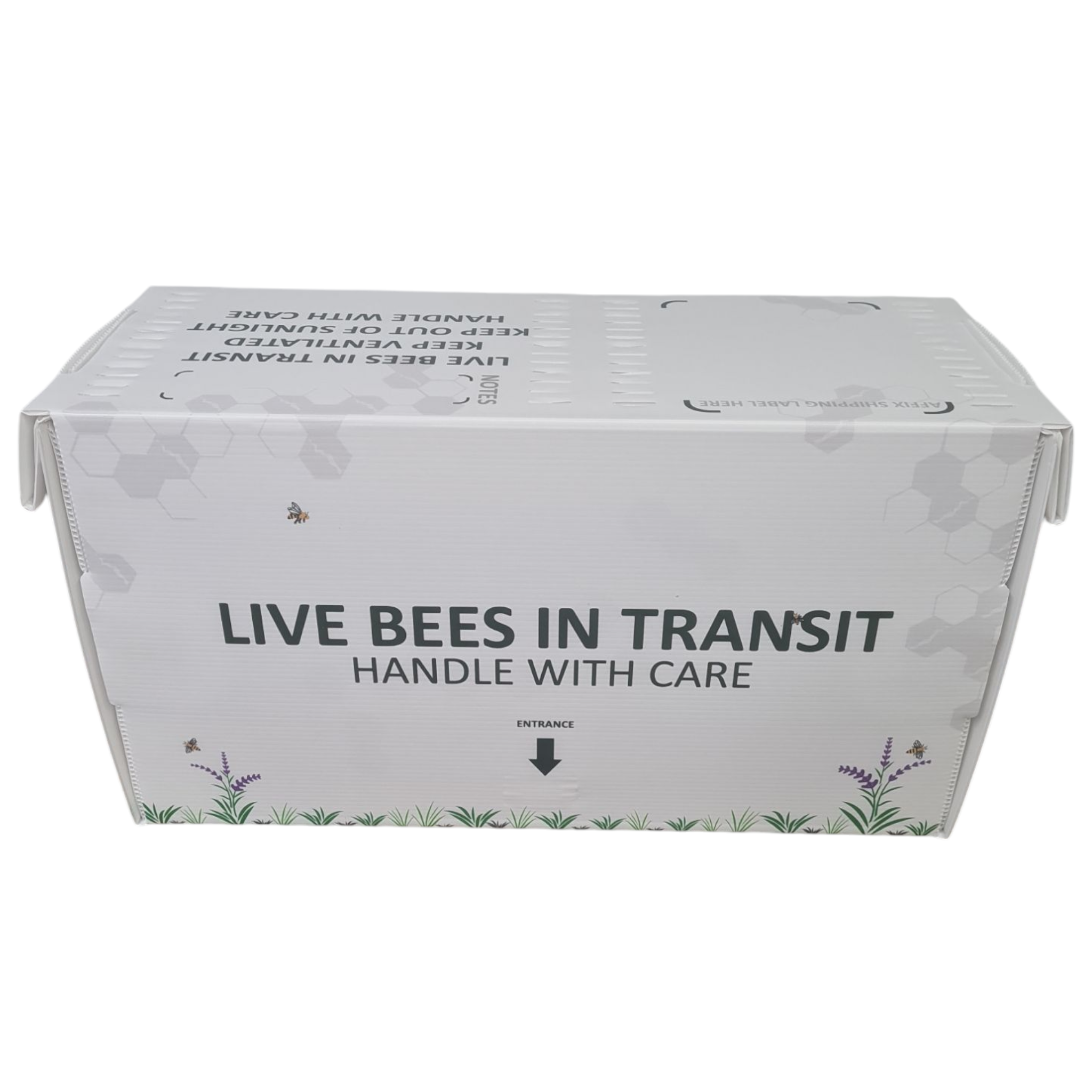 Correx National Nucleus Box