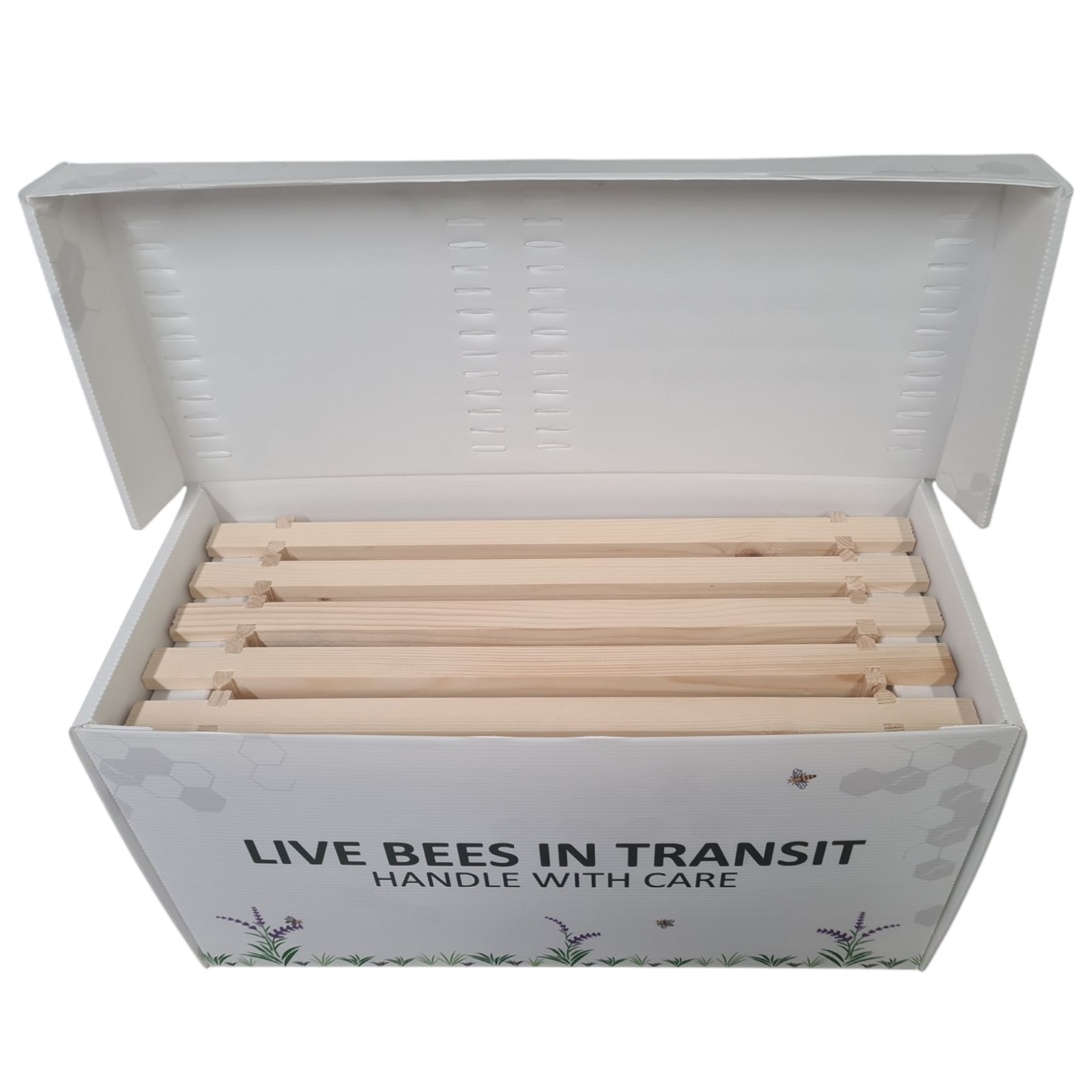 Correx National Nucleus Box