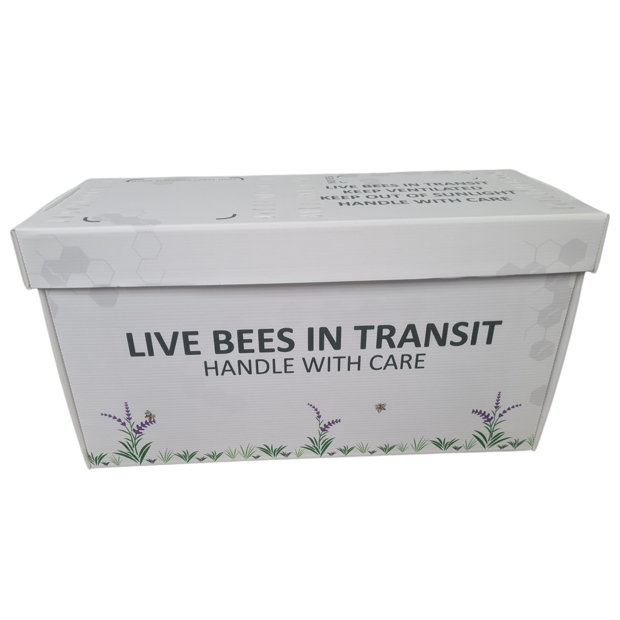 Correx National Nucleus Box