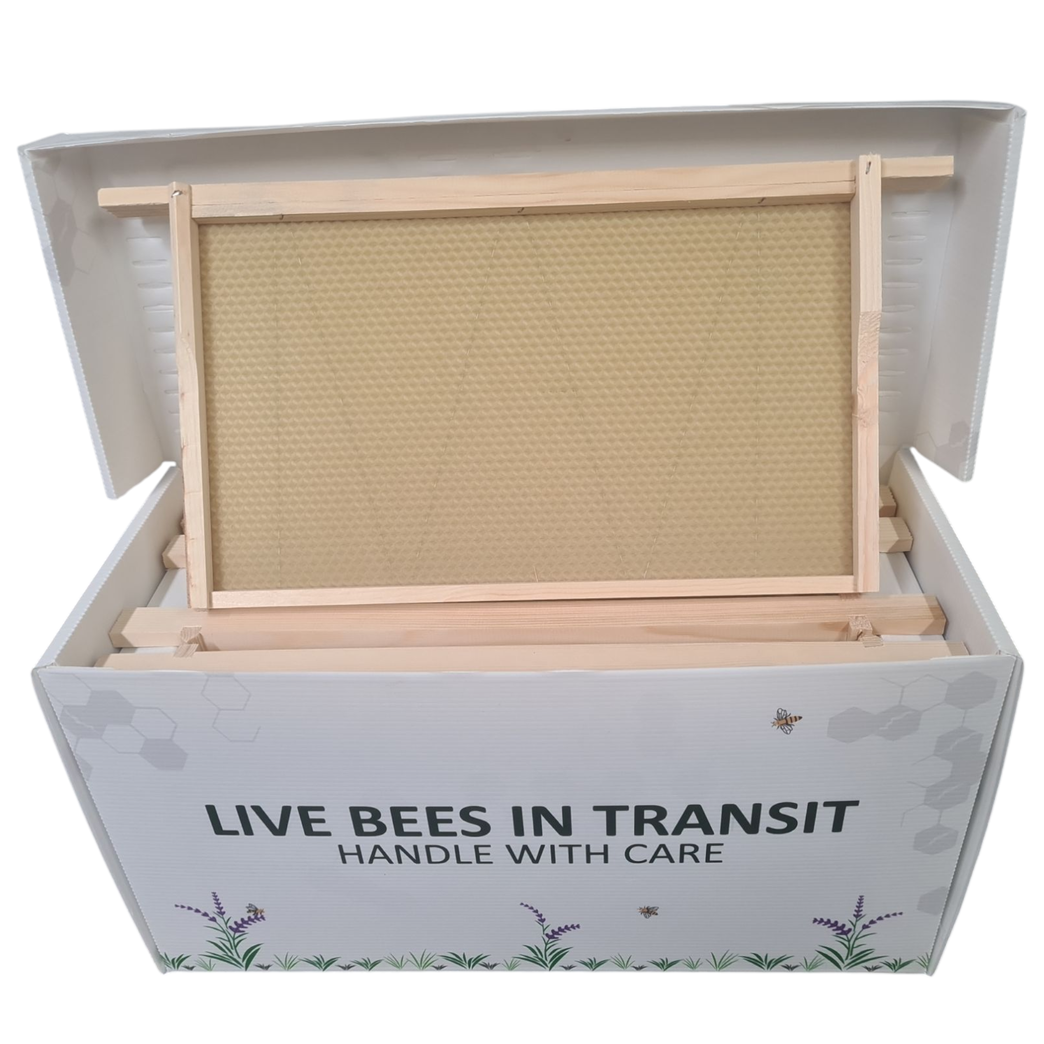 Correx National Nucleus Box