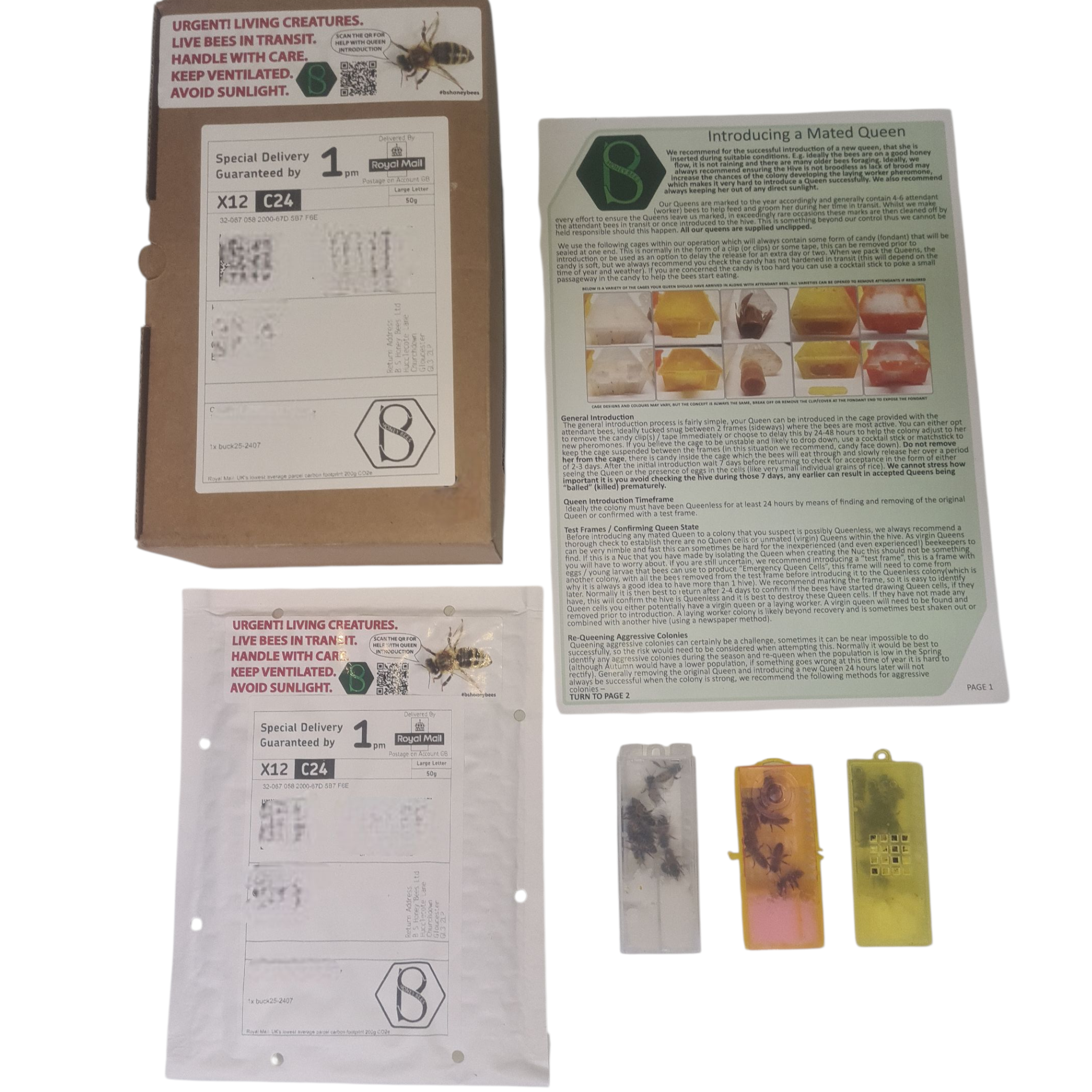 Buckfast Breeder Queen (F0, F0 Tested & F1 3D VSH+)