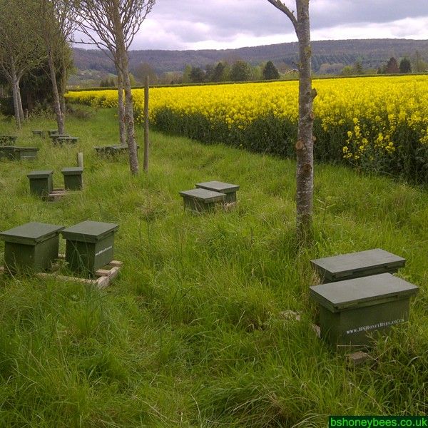 Collected 5 Frame Nucleus DEPOSIT 2026